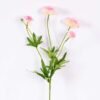 17*17*24CM Single Carnation*4 GS-2620188-P1