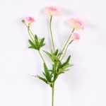 17*17*24CM Single Carnation*4 GS-2620188-P1