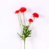 17*17*24CM Single Carnation*4 GS-2620188-R1
