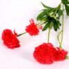 17*17*24CM Single Carnation*4 GS-2620188-R1