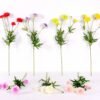 17*17*24CM Single Carnation*4 GS-2620188-R1