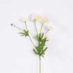 17*17*24CM Single Carnation*4 GS-2620188-W1