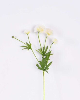 17*17*24CM Single Carnation*4 GS-2620188-W1