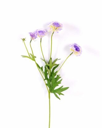 17*17*24CM Single Carnation*4 GS-2620188-Z1