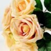 16*28CM rose bush *7 GS-2620197