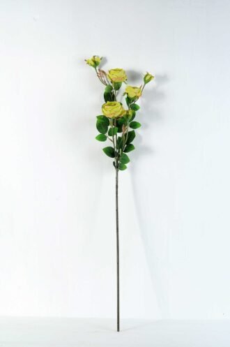 12*77CM rose bush *7 GS-2620198