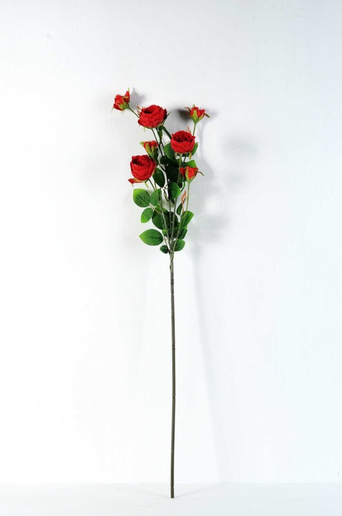 12*77CM rose bush *7 GS-2620198