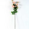 12*77CM rose bush *7 GS-2620198