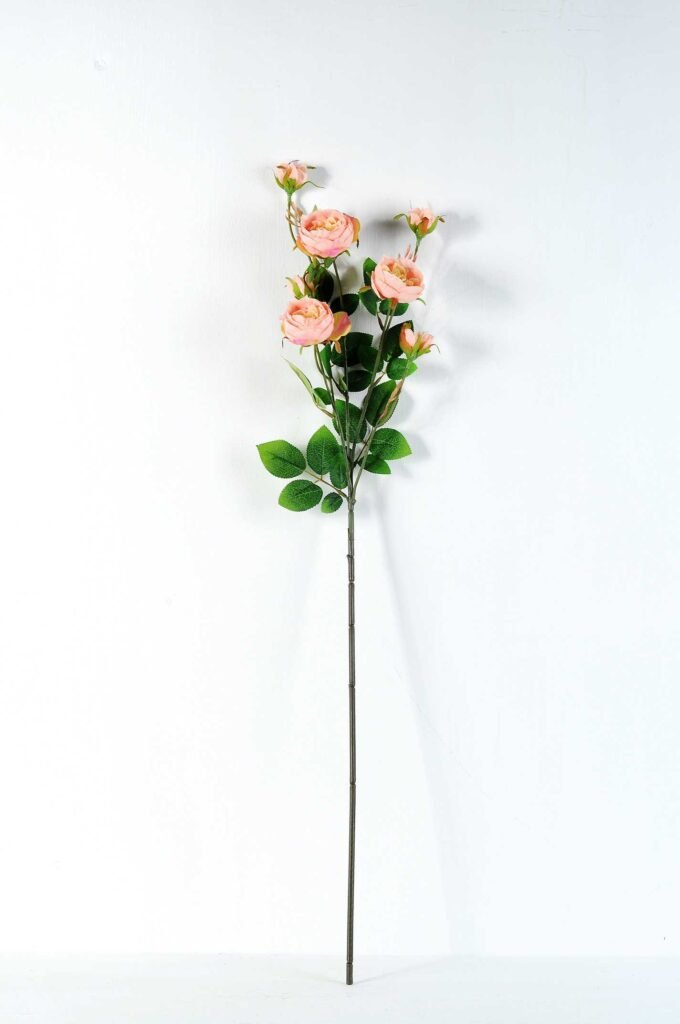 12*77CM rose bush *7 GS-2620198