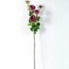 12*77CM rose bush *7 GS-2620198