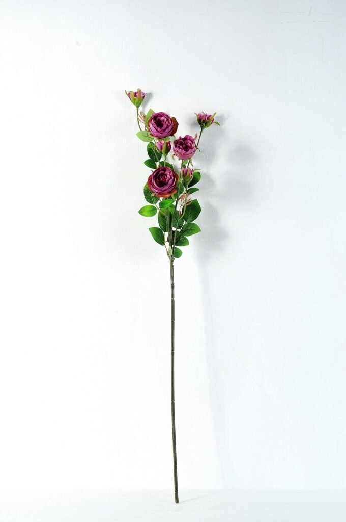 12*77CM rose bush *7 GS-2620198