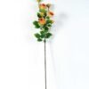 12*77CM rose bush *7 GS-2620198