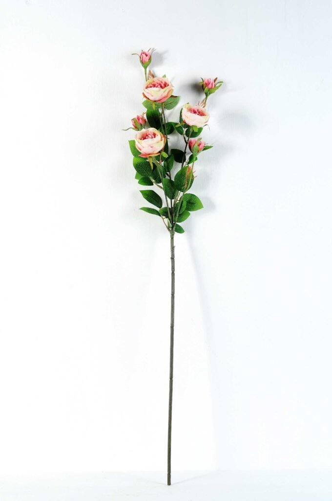 12*77CM rose bush *7 GS-2620198