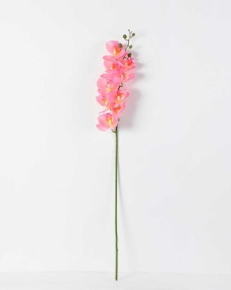 15*90CM Single orchid GS-2620202