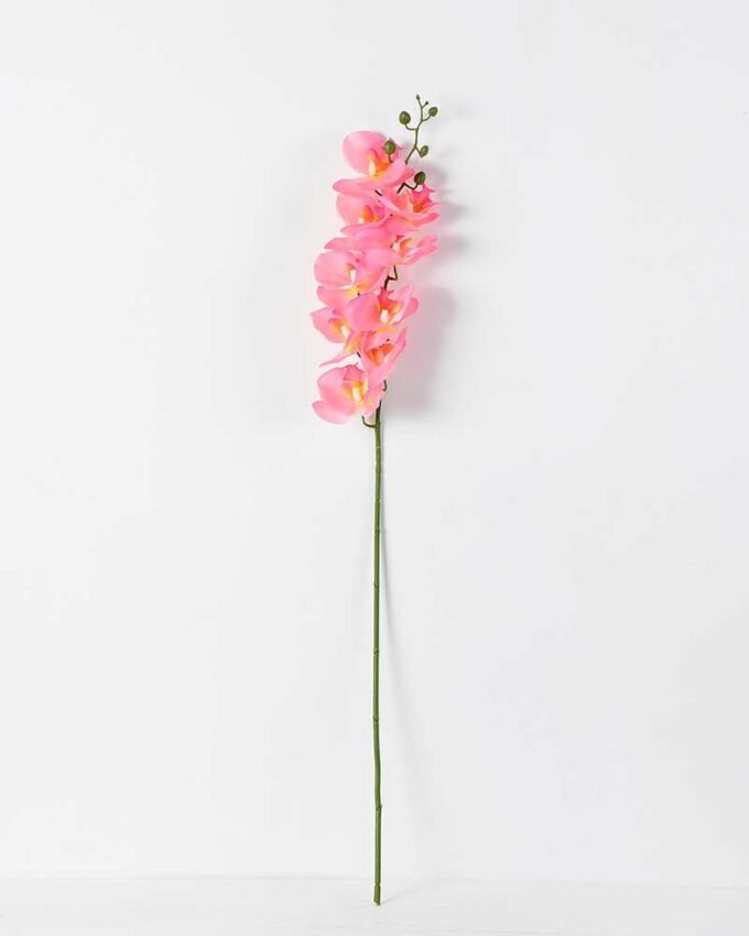 15*90CM Single orchid GS-2620202