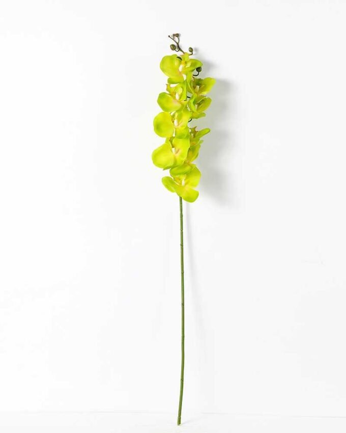 15*90CM Single orchid GS-2620202