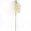 15*90CM Single orchid GS-2620202
