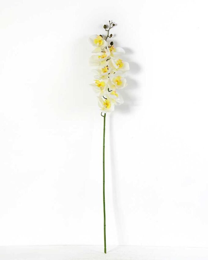 15*90CM Single orchid GS-2620202