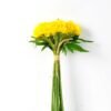 12*24cm Carnation bouquet*9 GS-2620203 6 12*24cm Carnation bouquet*9 GS-2620203