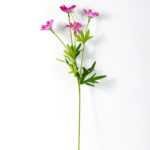 17*50cm Single Sunflower GS-2620205