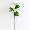12*58CM CHINESE PEONY*2 GS-2620207