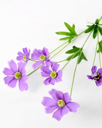 20*20*80CM Mini Chrysanthemum Spray*7 GS-2620210 Single Flowers YeahFlower is one of Chinese leading OEM manufacturers and exporters , supplying the silk flowers, wholesale artificial trees 20*20*80CM Mini Chrysanthemum Spray*7 GS-2620210