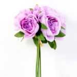 20*20*30CM Peony Bush*6 GS-2620212-Z1