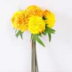 15*15*25CM MINI MUM GS-2620214-Y1