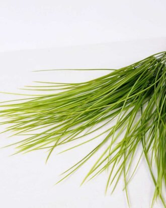 8*70CM GRASS BUSH*9 GS-2620215-G1