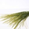 8*70CM GRASS BUSH*9 GS-2620215-G2