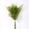 20*52CM GRASS BOUQUET WITH FRUIT GS-2620217