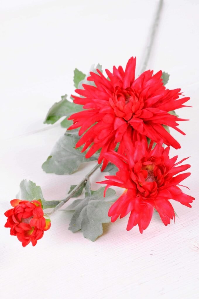 24*73CM chrysanthemum spray*3 GS-2620223-R1