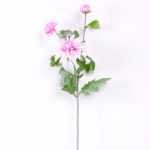 24*73CM chrysanthemum spray*3 GS-2620223-Z1