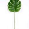 38*105CM Monstera  leaf GS-2690049