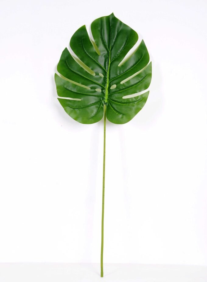 38*105CM Monstera  leaf GS-2690049