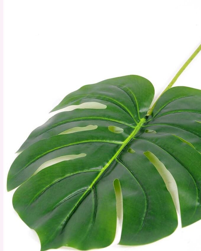38*105CM Monstera  leaf GS-2690049