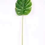 28*95CM Monstera  leaf GS-2690050
