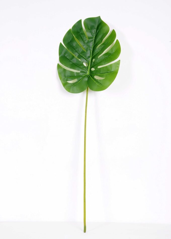 28*95CM Monstera  leaf GS-2690050