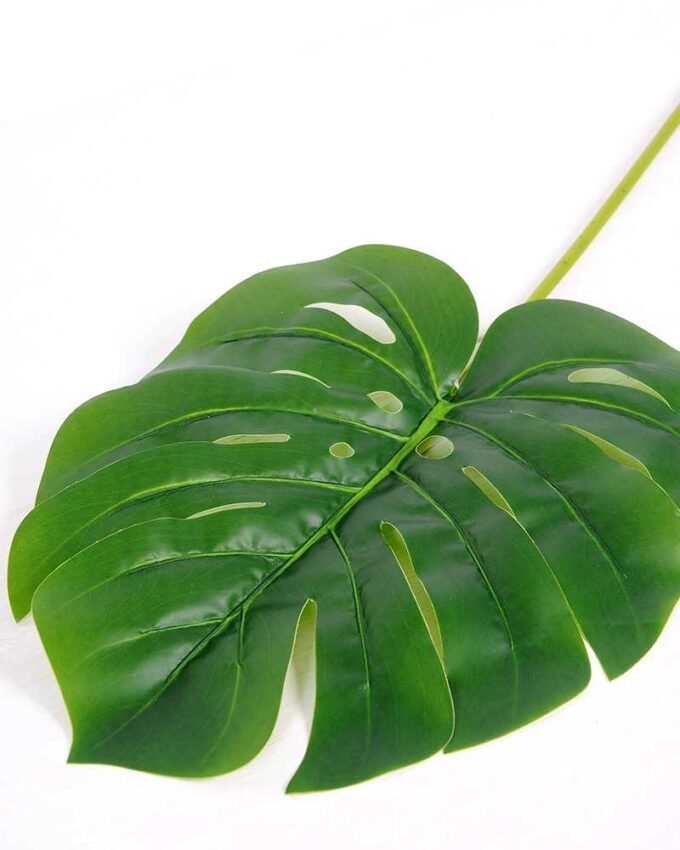 28*95CM Monstera  leaf GS-2690050