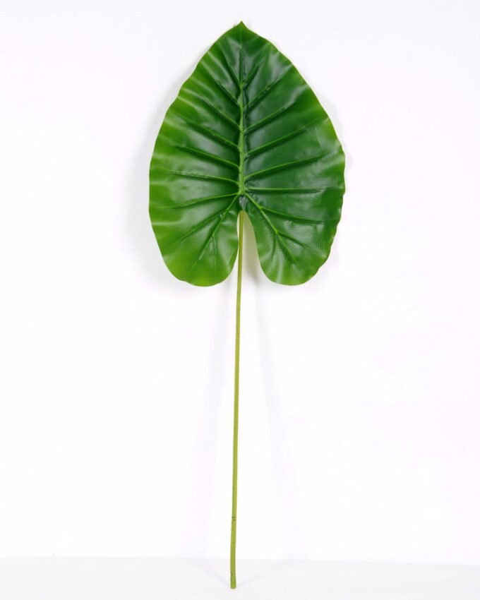 37*103CM Taro leaves GS-2690051