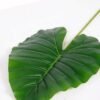 37*103CM Taro leaves GS-2690051