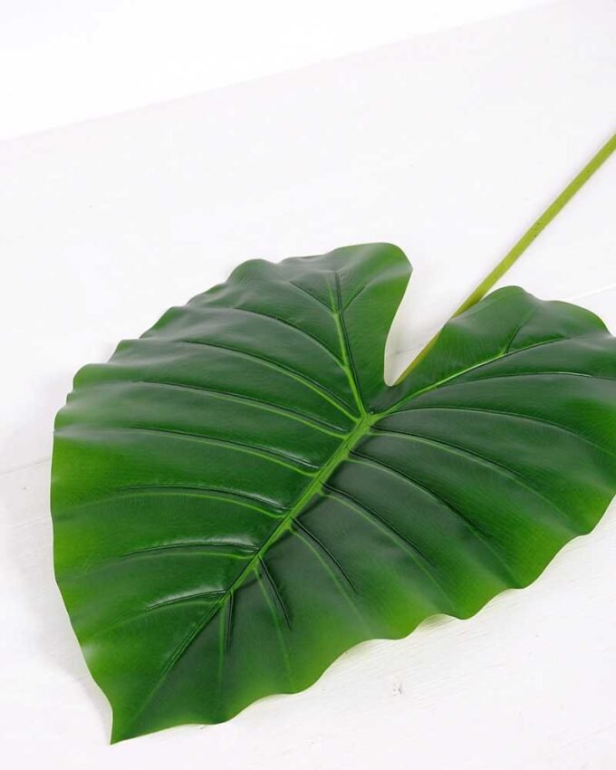37*103CM Taro leaves GS-2690051