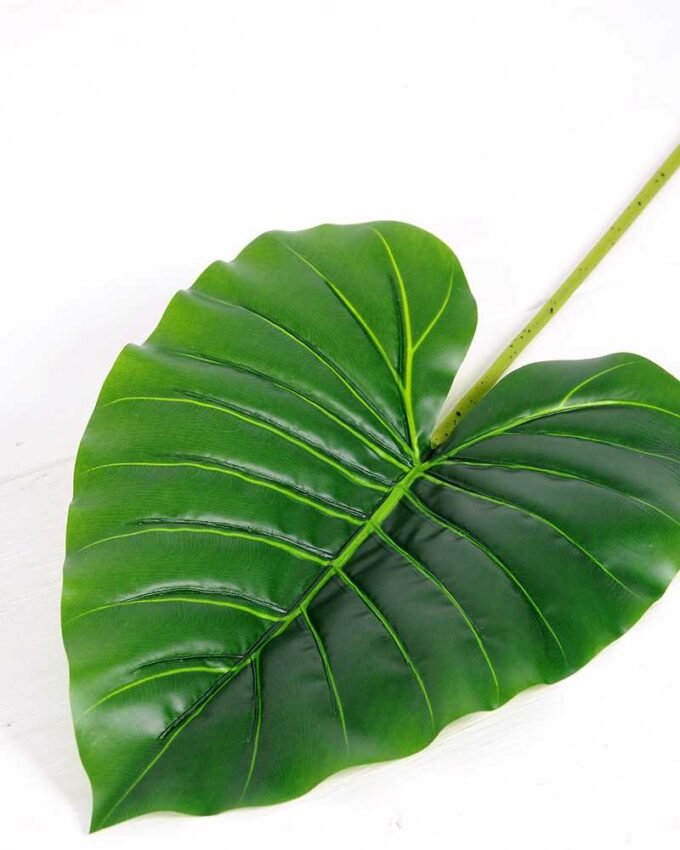 27*85CM Taro leaves GS-2690052