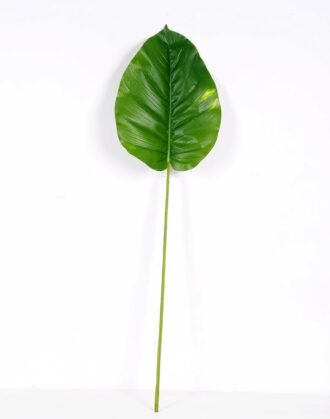 28*99CM  Taro leaves GS-2690053