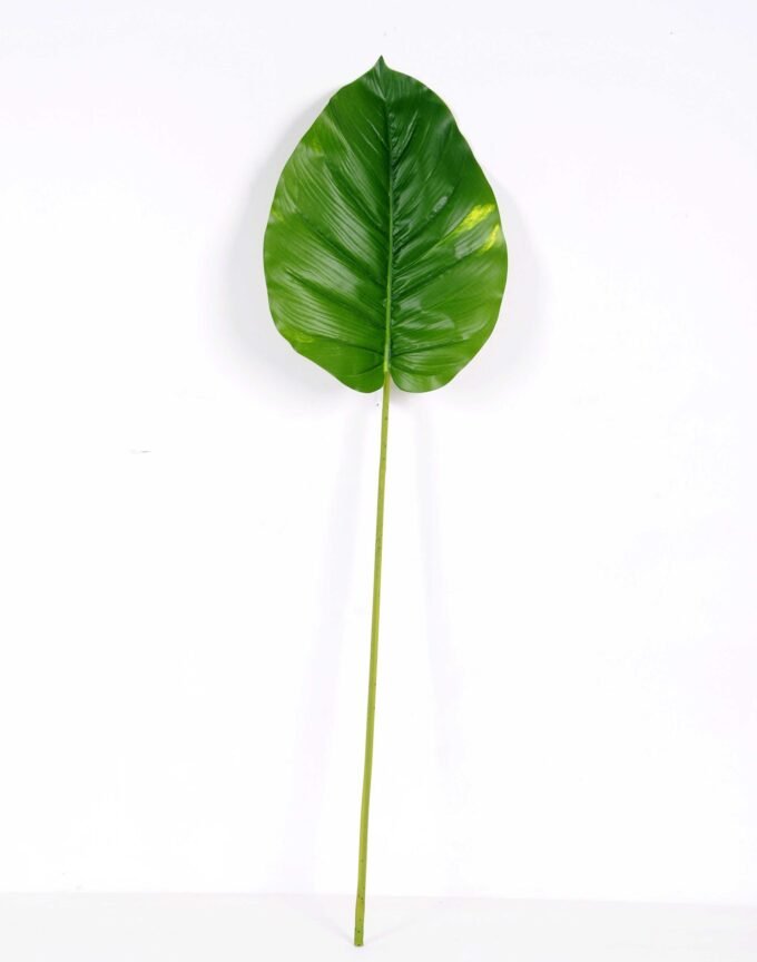 28*99CM  Taro leaves GS-2690053