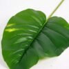 28*99CM  Taro leaves GS-2690053