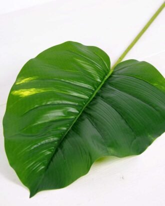 28*99CM  Taro leaves GS-2690053