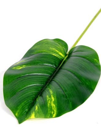 23*87CM Taro leaves GS-2690054