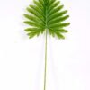 45*102CM Taro leaves GS-2690055