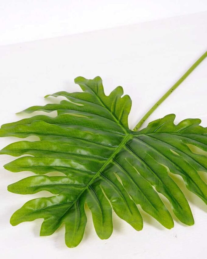 45*102CM Taro leaves GS-2690055